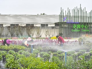 雍溪镇慈云村重庆天华百卉园基地年产花卉1.5亿盆，年产值超3亿元
