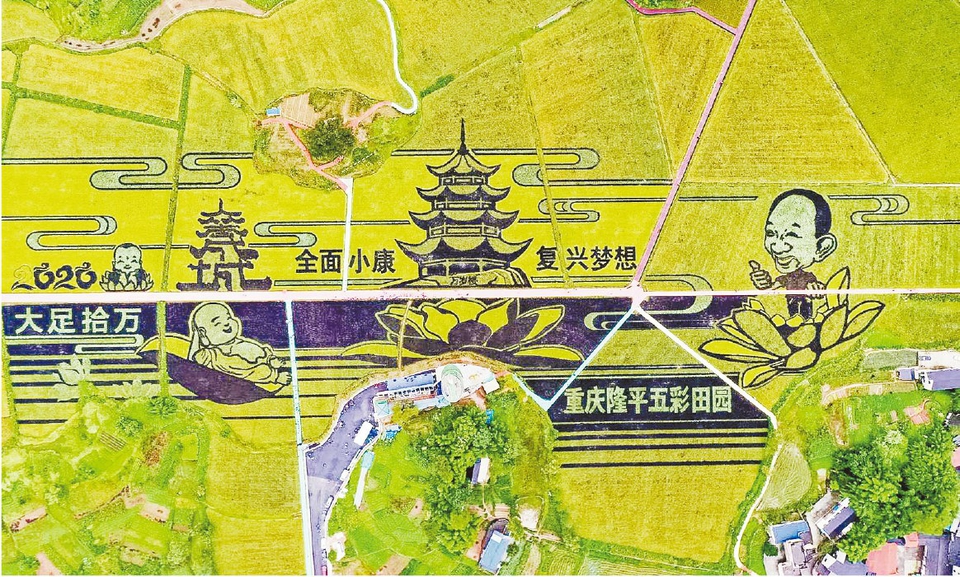 大足隆平五彩田园活动现场。（主办方供图）
