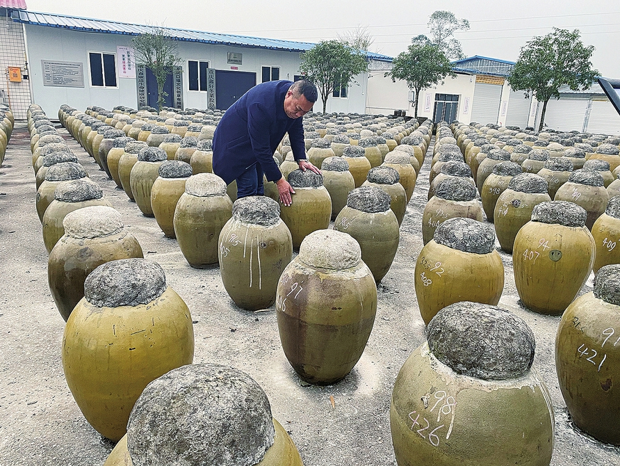 講好大足冬菜故事_大足新聞_新聞_大足網