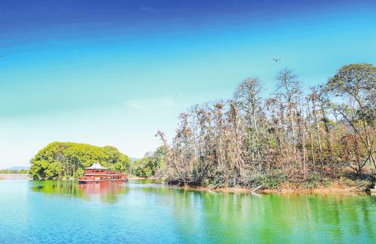 重庆大渡口龙湖拍地图片