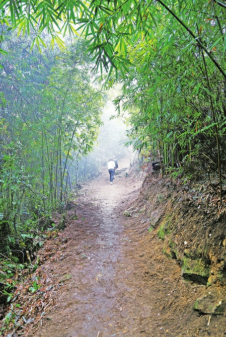 铜梁双碾林场内的古道
