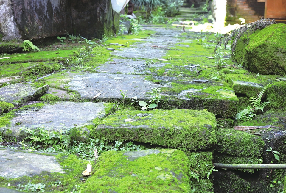 龙岗境内留存至今的小川东道石板
