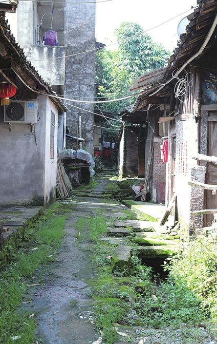 小川东道两旁的住户
