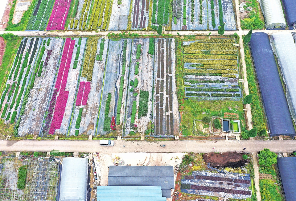 　　4月20日，航拍下的雍溪镇石堡村花卉基地。据悉，该镇在石堡村、团结、泡马等村大力发展花卉产业，建成卉苗木基地3000亩，年产各类花卉苗木1500万盆，带动当地500余名村民在家门口就业。 记者黄舒摄
