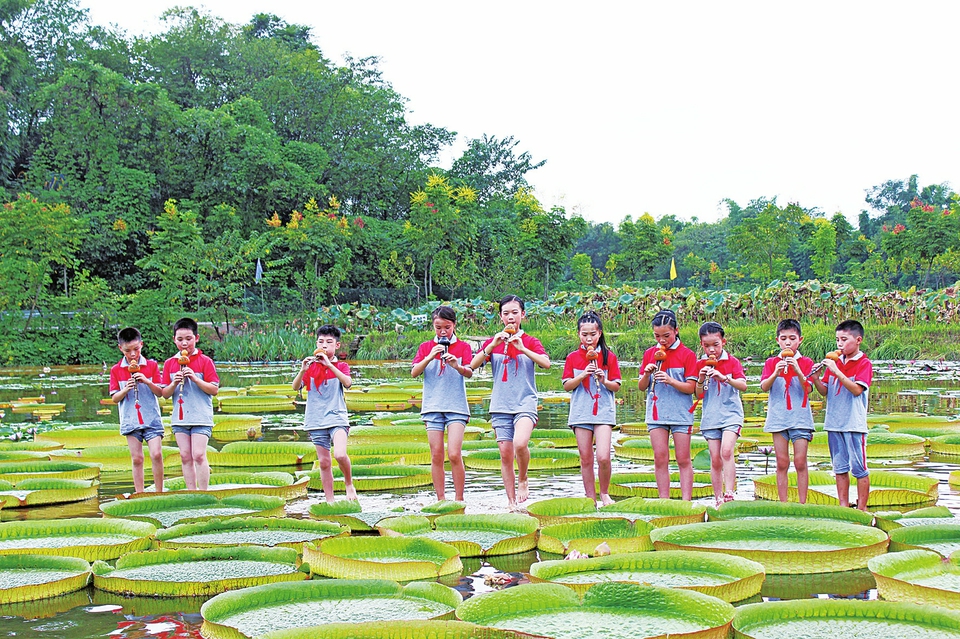 　　日前，龙岗明德小学的学生以荷塘奏曲的独特方式为祖国送祝福。在我区雅美佳湿地公园的王莲景区，学生们激情洋溢地演唱《我和我的祖国》《没有共产党就没有新中国》等歌曲，随后又演奏口风琴、葫芦丝等乐器。
　　通讯员袁缘圆摄
