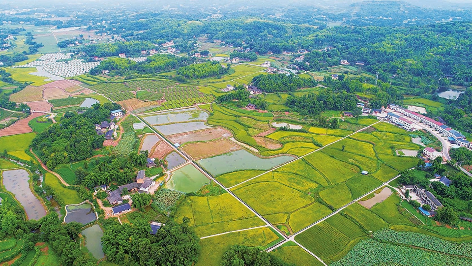 　　昨日，航拍下的国粱镇田成块、路成网。该镇今年投资113万元，在双山村实施的“田间工程建设项目”，已全部竣工，整治田土82亩，新建路沟198米，耕作道1084米，辐射带动能排能灌、旱涝保收、适宜机械化耕作的基本口粮田1506亩。
　　记者黄舒 通讯员石臻亮摄
