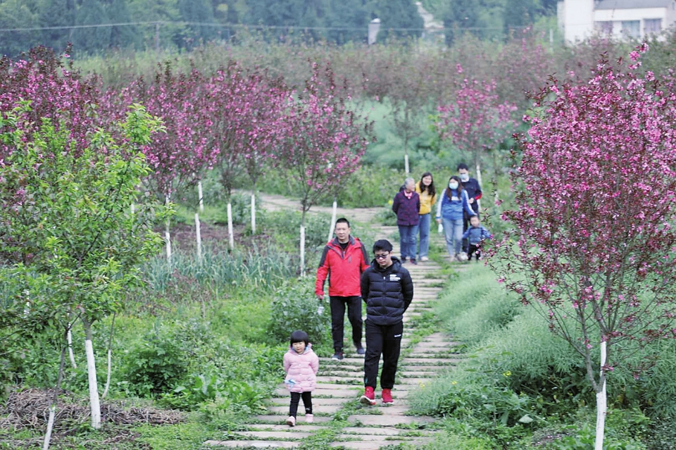 　　清明小长假期间，虽然春雨绵绵，但挡不住市民踏青游玩的脚步，龙水湖度假区、大足石刻世界文化遗产博览园、棠香人家等景点，仍然吸引了不少游客前往。图为游客在棠香人家踏青游玩。 记者黄舒摄
