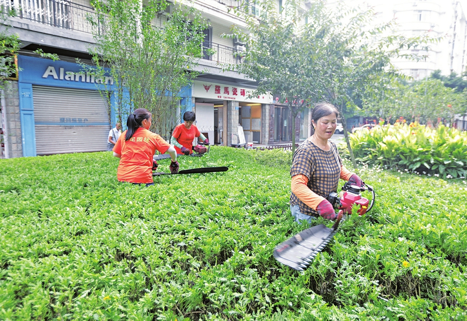 　　日前，城区一环北路两边的绿化带，“城市美容师”正在为观赏植物修枝。近年来，我区加快为城市添绿，增添主干道绿化带、绿化交通岛等，努力打造富足大足、美丽大足、幸福大足。
　　记者黄舒摄
