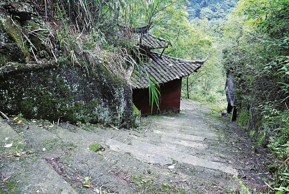 高峰村境内的小川东道，一直向下便是“九蹬桥”
