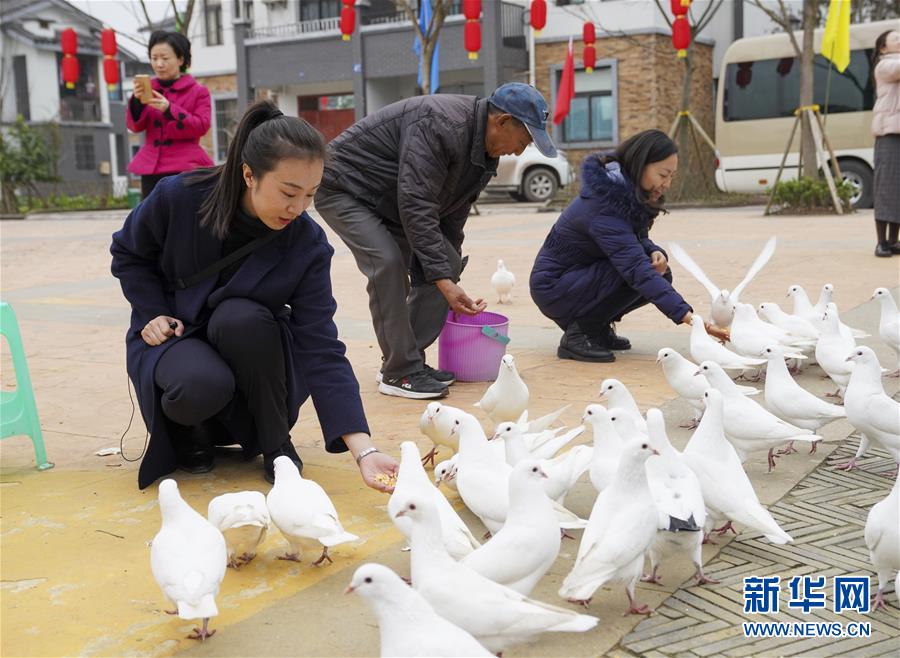 （来自一线的调查报告·图文互动）（4）乡村“慢生活” 发展新空间——重庆长寿“慢城”挖掘农旅融合新路