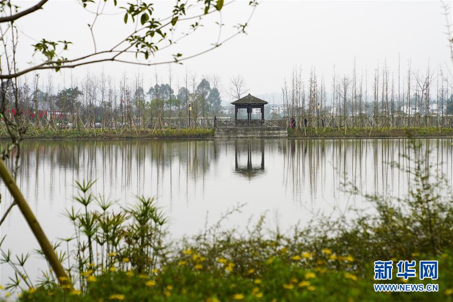 （来自一线的调查报告·图文互动）（3）乡村“慢生活” 发展新空间——重庆长寿“慢城”挖掘农旅融合新路