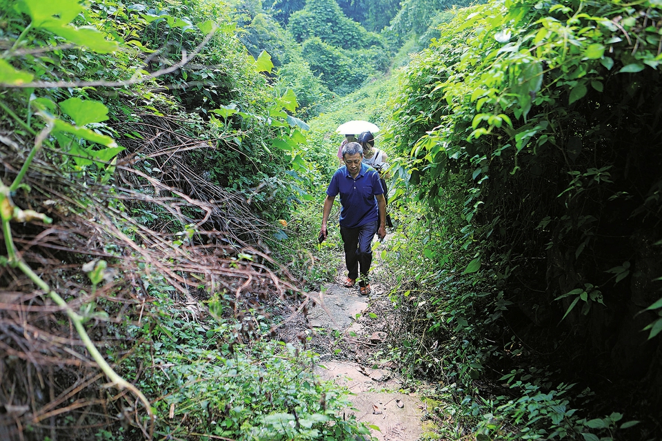 杨永中带领记者在扎营坳探访古道