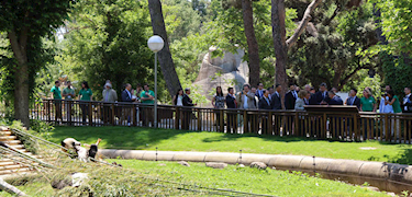 旅西大熊猫“茱萸”“金喜”在马德里动物园首次公开亮相