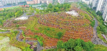 大手拉小手共建绿色家园