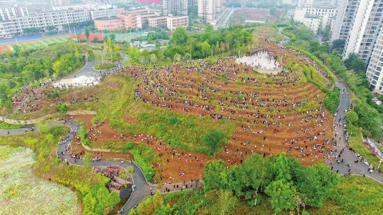 大手拉小手共建绿色家园