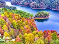 浙江淳安：千岛湖岛屿斑斓多姿