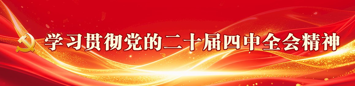 学习贯彻党的二十届四中全会精神