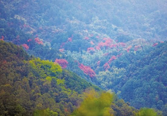 玉龙山层林尽染