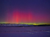 我国北方多地迎来新年首场“极光秀”