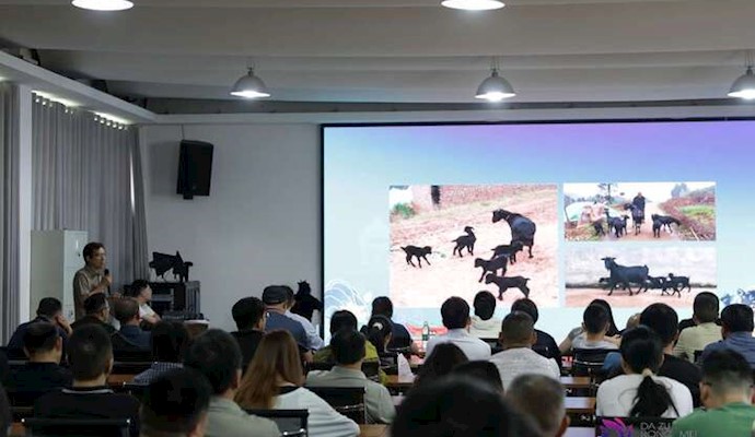 全市农技人员齐聚大足 观摩学习饲草种植与黑山羊标准化养殖